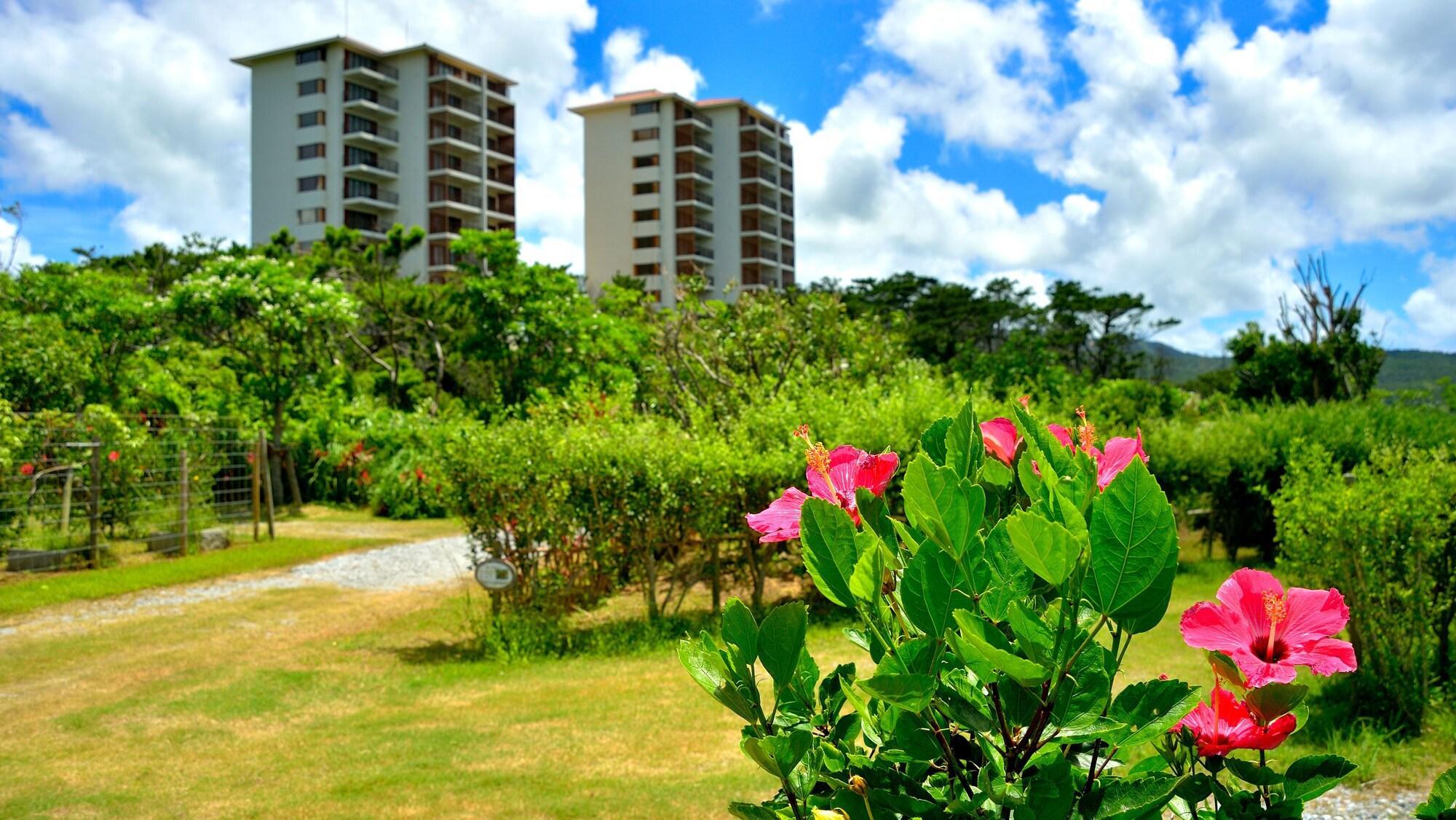 Hotel The Atta Terrace Club Towers (Adults Only) Onna Esterno foto